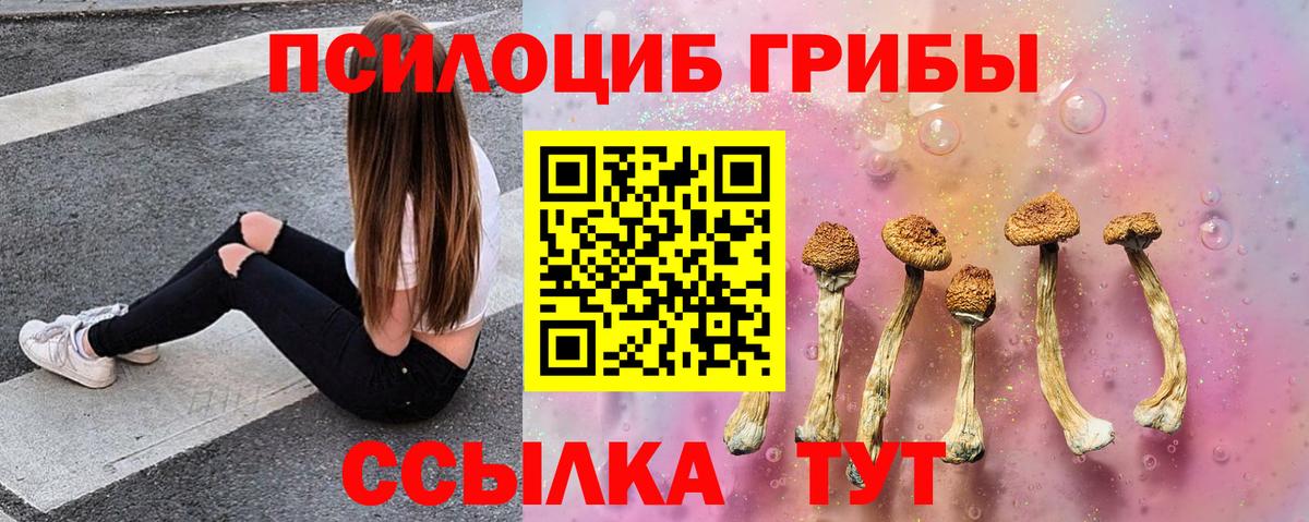 Псилоцибиновые грибы Psilocybe Северск
